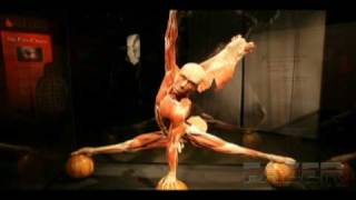 Body Worlds Exhibit Toronto [upl. by Sparhawk]