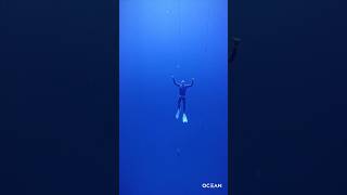 WHALES So many SINGING whales hawaii whales diving freediving [upl. by Aikkin135]