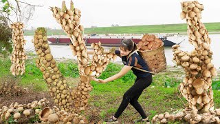 Harvesting Shiitake Mushroom amp Cook shiitake mushroom soup with chicken Goes to the market sell [upl. by Uamak]