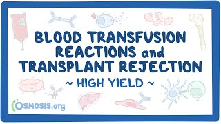 Blood transfusion reactions and transplant rejection Pathology Review [upl. by Meeharbi]