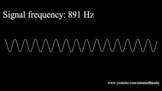 20Hz to 20kHz Human Audio Spectrum [upl. by Baram]