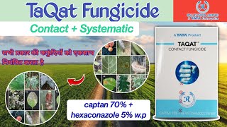 Tata taqat fungicide  captan 70  hexaconazole 5 wp  पूरी जानकारी हिंदी में [upl. by Enaelem]