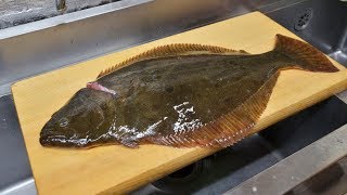 寿司職人によるヒラメの仕込みから握りまで〜How To Make Flatfish Sushi〜 [upl. by Maximilian775]