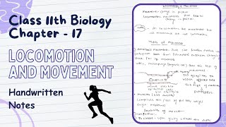 Locomotion and Movement  Notes PDF  Class 11th Biology Chapter 17 Handwritten Notes [upl. by Won]