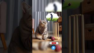 cat playing cricket  cat animals kitten cuteMeowMotion950 [upl. by Liddle]