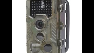 Distianert Low Glow Infrared Trail Camera DH8 Review amp Demo [upl. by Casi106]