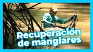 Bancoagrícola invierte 89000 en rescate del estero de Jaltepeque [upl. by Hake]