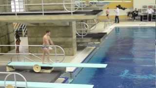 1m Finals Diving Zones 2013 [upl. by Ardel521]