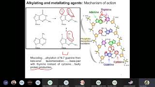 Medicinal 3 Antineoplastic agents Part 2 [upl. by Laural]