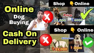 Online dog कैसे buy किया जाता है  How to buy dog online [upl. by Arleta]