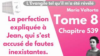 Maria Valtorta  Tome 8 chapitre 539  LEvangile tel quil ma été révélé [upl. by Valdis492]