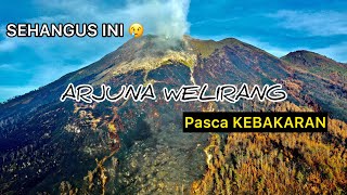 GUNUNG ARJUNA WELIRANG PASCA KEBAKARAN [upl. by Annasus]