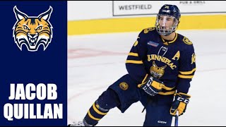 NCAA Free Agents  Jacob Quillan Highlights [upl. by Pepi]