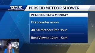 Can we see the Perseid Meteor Shower in the South [upl. by Saba]