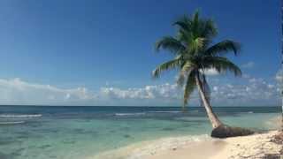 Relaxing 3 Hour Video of A Tropical Beach with Blue Sky White Sand and Palm Tree [upl. by Martha844]