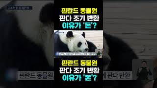 PandaTV 핀란드 동물원 판다 조기 반환  이유가 돈 [upl. by Nodnas]