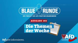 Die Themen der Woche  Die BLAUE Runde Ausgabe 102 [upl. by Spalla]