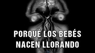 Porqué los bebés nacen llorando  Creepypasta [upl. by Otxis]