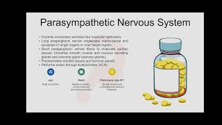 pharmacology autonomicnervoussystem medicalstudent medicaleducation [upl. by Timmons]