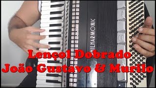 Video Aula Acordeon  Lençol Dobrado  João Gustavo amp Murilo  Pedrão Sanfoneiro [upl. by Ahseiuqal805]