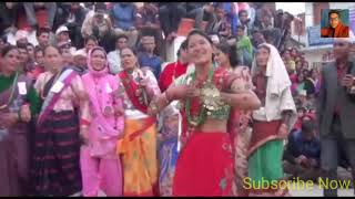 Bimala budha ra netra raj shahi Live Deuda बिमला बुढा VS नेत्र राज शाही लाईभ देउडा [upl. by Melisandra812]