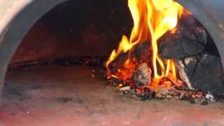 Chapala Tonala Pizza Oven [upl. by Enrev]