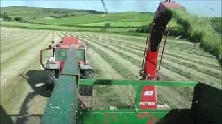 Cutting silage with JF 900 harvester [upl. by Ellehsyt998]