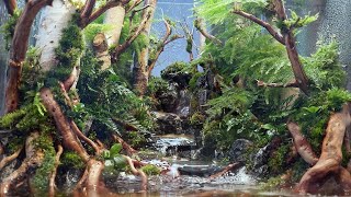 Put a real forest on your desk Creating a healing terrarium with small waterfalls and streams [upl. by Ocirederf]