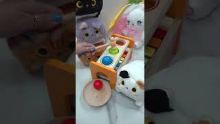 🐱🐰🔨 Ball Mallet with Xylophone xylophone ball [upl. by Quita]