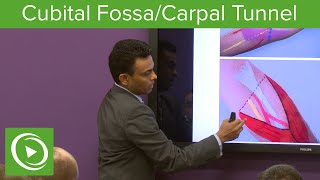 Cubital Fossa amp Carpal Tunnel – MRCS  Lecturio [upl. by Killam927]