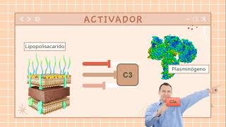 video 2 AGGREGATIBACTER ACTINOMYCETEMCOMITANS [upl. by Ahsii]