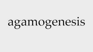 How to Pronounce agamogenesis [upl. by Falda9]