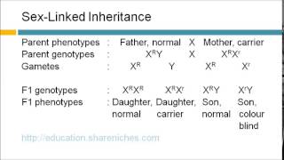 SexLinked Inheritance  Colour Blindness  Inheritance [upl. by Anayad780]