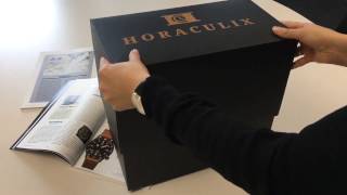 Unboxing Horaculix HC1  Uhrenbausatz für Technikfans [upl. by Aneger239]