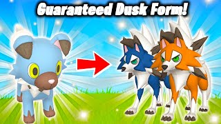 HOW TO GET GUARANTEED DUSK FORM LYCANROC IN POKEMON GO Easy Method Found  Lustrous Odyssey [upl. by Pride]