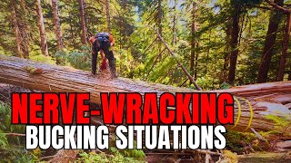 150 Sketchy Bucking  Pinched BackCut Trick [upl. by Ahsinak]