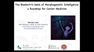 The Bioelectric Basis of Morphogenetic Intelligence a Roadmap for Cancer Medicine by Michael Levin [upl. by Jezebel]