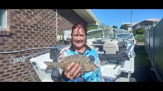 Captain Goody Episode 80 New green zones Fishing in Hervey Bay [upl. by Jedd539]