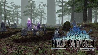 FINAL FANTASY XI Rise of the Zilart  Ambience amp Music  The Sanctuary of ZiTah [upl. by Eulalie]