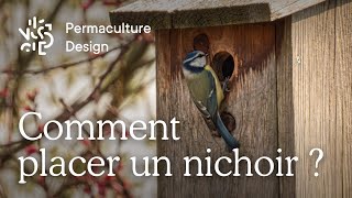 Comment installer correctement des nichoirs à oiseaux [upl. by Lienet]