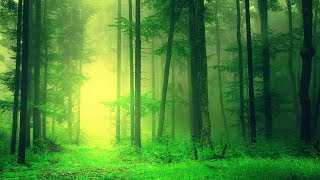 Healing Meditation Music Soothing Music Relaxing Music Meditation Binaural Beats ☯3277 [upl. by Christi]