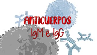 ANTICUERPOS IgM e IgG [upl. by Trainer]