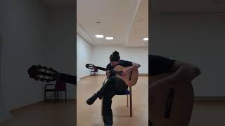 Tarantella Napoletana Guitar Fingerstyle [upl. by Najtsirk]