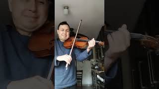 Liebesleid Kreisler Violin [upl. by Nyrmac]