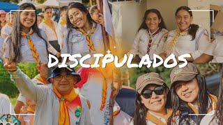 DISCIPULADOS canto tema camporee Guías Mayores 2024 [upl. by Acirred]