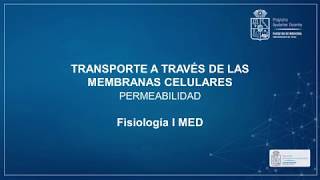 Permeabilidad de Membranas  Fisiología I  Medicina [upl. by Sillihp]