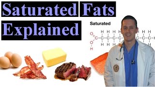 Saturated Fat Explained Made Easy to Understand [upl. by Tartaglia]