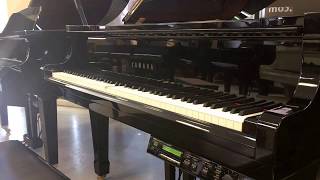 Yamaha C3 Disklavier Grand Piano 61quot Ebony Polished DamppChaser Humidity Control [upl. by Nonnaer]