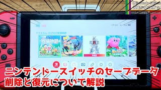 Nintendo Switchのセーブデータ復元と削除する方法について。初心者は必見！ [upl. by Soni]