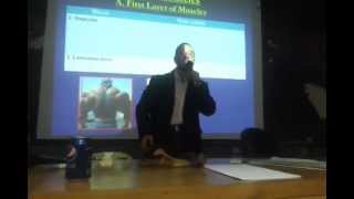 Morag3et Dr Ayman Khanfour Upper Limb [upl. by Conant998]